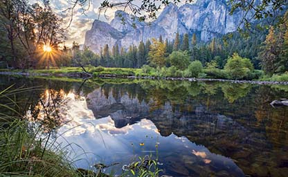 Reflection of Trees in a Lake